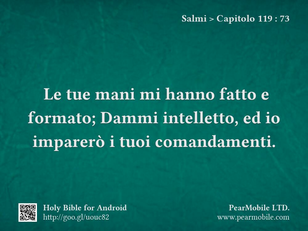 Salmi, Capitolo 119:73